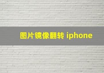 图片镜像翻转 iphone